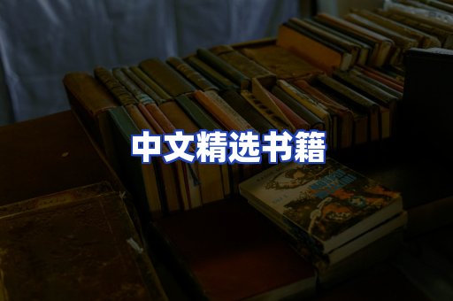中文精选书籍